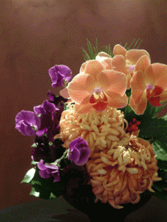 画像(240x320)・拡大画像(263x350)