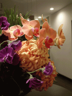 画像(240x320)・拡大画像(263x350)