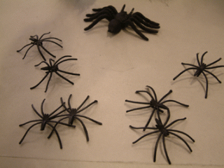 画像(320x240)・拡大画像(356x267)