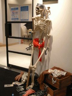 画像(240x320)・拡大画像(263x350)