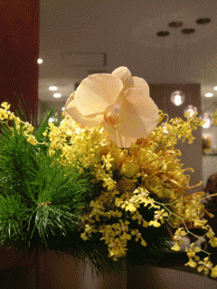 �摜(240x320)�E�g��摜(263x350)