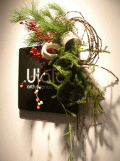 �摜(240x320)�E�g��摜(263x350)